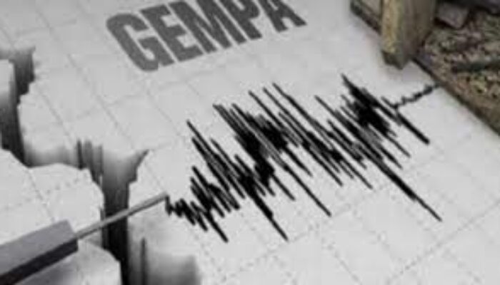 Gempa Bumi 3,6 SR Guncang Kendari, BMKG: Pusat Gempa di Moramo Utara