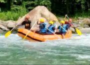 Mengenal Arung Jeram Tinukari Kolaka Utara, Wisata Uji Adrenalin Pertama di Sultra