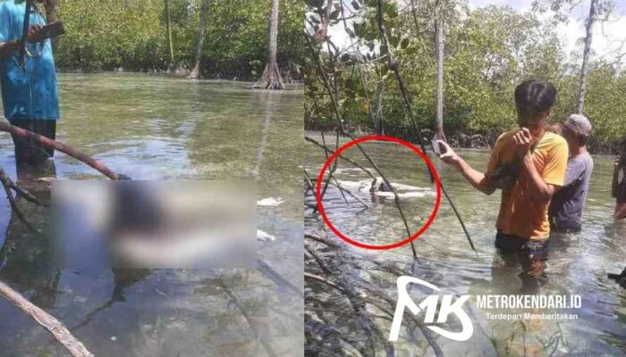 Breaking News: Penemuan Mayat Misterius Tanpa Kepala di Pantai Pongkowulo Butur