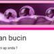 Bucin Docs Google Form