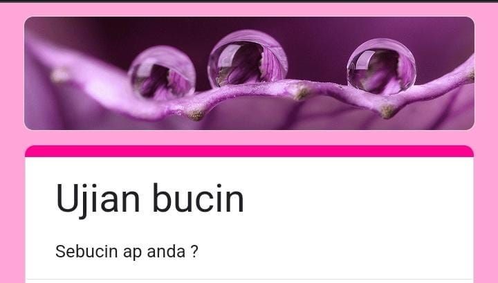 Bucin Docs Google Form