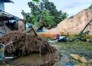 4 Orang dalam Satu Keluarga Terluka Usai Sebuah Pohon Tumbang Menimpa Rumah di Jagakarsa