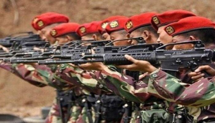 Mabes AD Buka Suara Soal Kecaman Prajurit TNI Kepada Effendi Simbolon