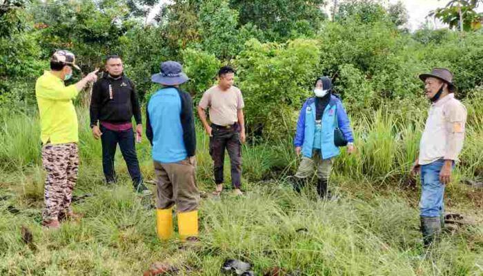 Kwarcab Pramuka Konawe Akan Adakan Kemah Raimuna Cabang