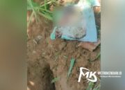 Geger, Warga Kendari Temukan Janin Bayi Perempuan Ditanam di Lahan Kosong