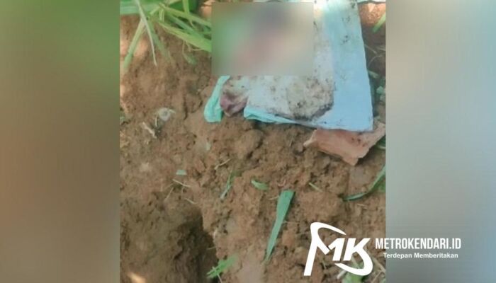 Geger, Warga Kendari Temukan Janin Bayi Perempuan Ditanam di Lahan Kosong