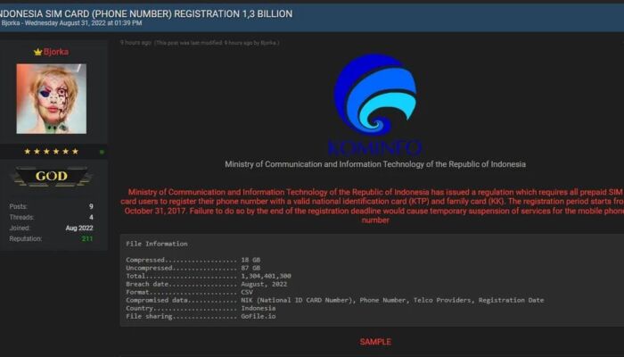 Profil Bjorka, Hacker Misterius yang Bobol Data Kominfo Hingga Presiden Jokowi