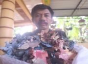 Viral, Uang Rp 35 Juta Milik ASN Asal Madiun Ini Rusak Dimakan Rayap