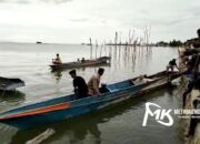 Warga di Kabupaten Muna Tewas Diterkam Buaya