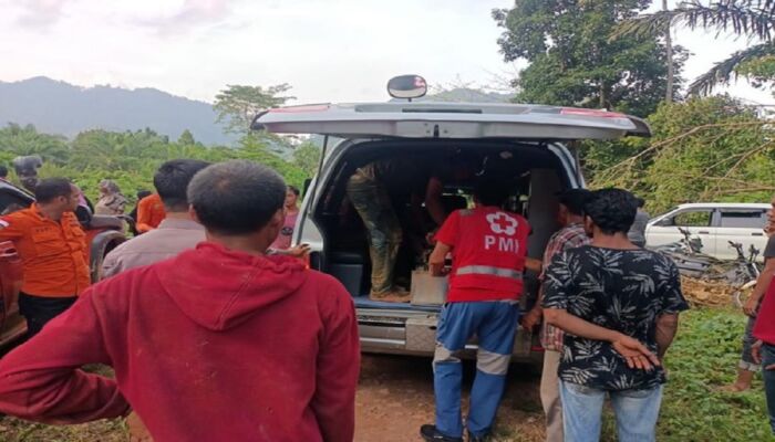 Seorang Pria Penambang Emas di Aceh Dievakuasi Usai 13 Jam Tertimbun Longsor