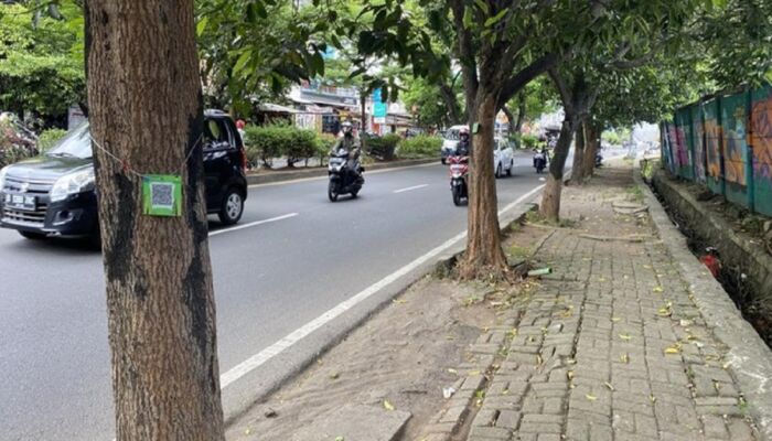 Dipasangi Barcode, Pohon di Sepanjang Jalan Margonda Raya Depok Jadi Sorotan Netizen! Apa Fungsinya?