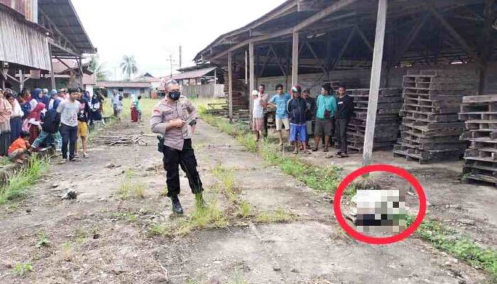 Polisi Lakukan Olah TKP Penemuan Mayat Tanpa Identitas di Lapulu