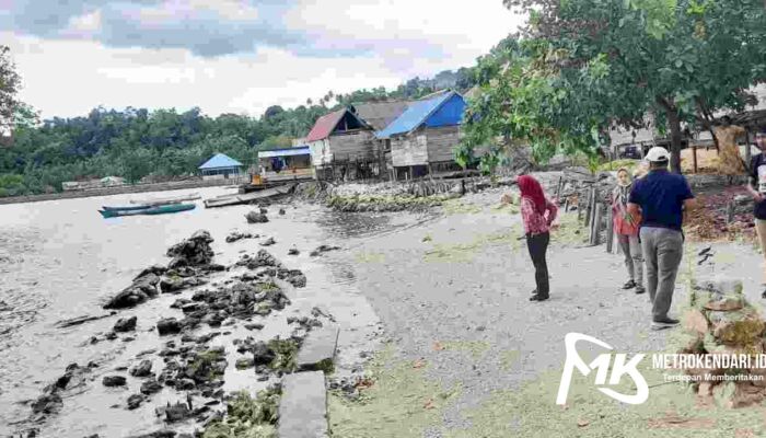 Tak Ada Tanggul Penahan Ombak, Rumah Warga di Desa Lamoahi Butur Terancam