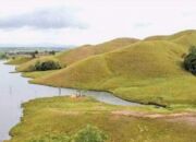 Pesona Objek Wisata Bukit Teletubies di Bombana, Cocok Buat Anak Senja