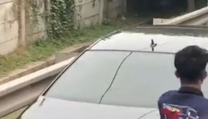 Viral! Pengemudi Pelat RFS Ini Nekat Kokang Pistol di Jalan