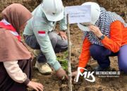 Gandeng Gerakan Pramuka Bungku Timur, PT Vale Sosialiasi Keselamatan dan Lingkungan