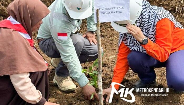 Gandeng Gerakan Pramuka Bungku Timur, PT Vale Sosialiasi Keselamatan dan Lingkungan