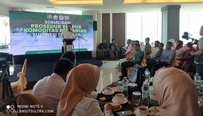 Kadin Sultra Dorong Pelaku Usaha Komoditas Pertanian Go Internasional