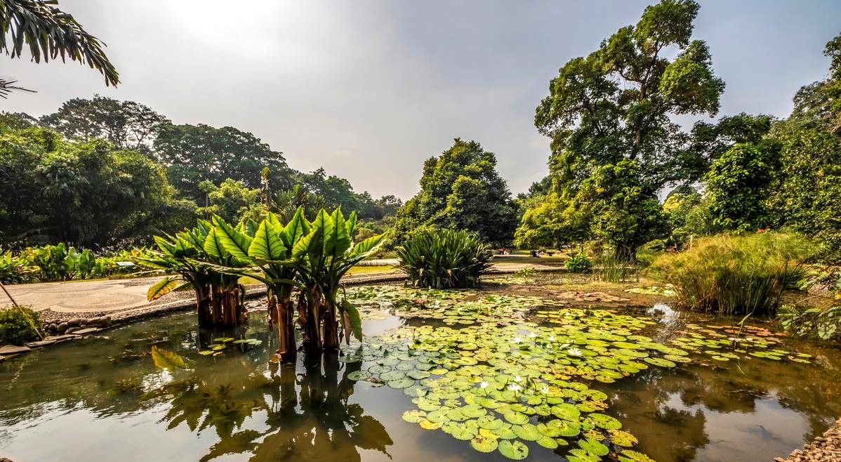 Kebun Botani