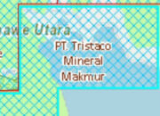 Dishut Sultra Sebut PT Tristaco Mineral Makmur Belum Kantongi IPPKH