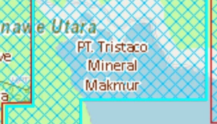 Dishut Sultra Sebut PT Tristaco Mineral Makmur Belum Kantongi IPPKH