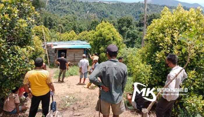 Warga Kolaka Ditemukan Tewas di Perkebunan Cengkeh