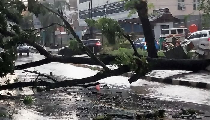 Data Terkini Musibah Angin Kencang di Kendari: 212 Rumah Rusak Berat, 1 Korban Meninggal