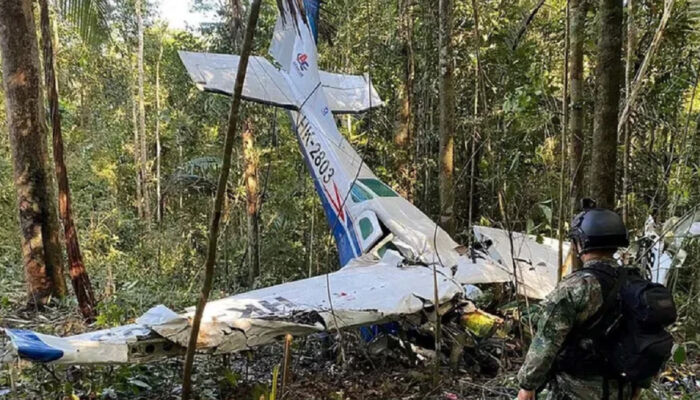 Lihat Ibunya Tewas, Ini Cerita Lengkap 4 Anak yang Bertahan Hidup di Hutan Ganas Usai Mengalami Kecelakaan Pesawat