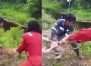 Nekat Buang Anjing ke Sungai Hingga Diterkam Buaya, 3 Pria di Nunukan Jadi Tersangka