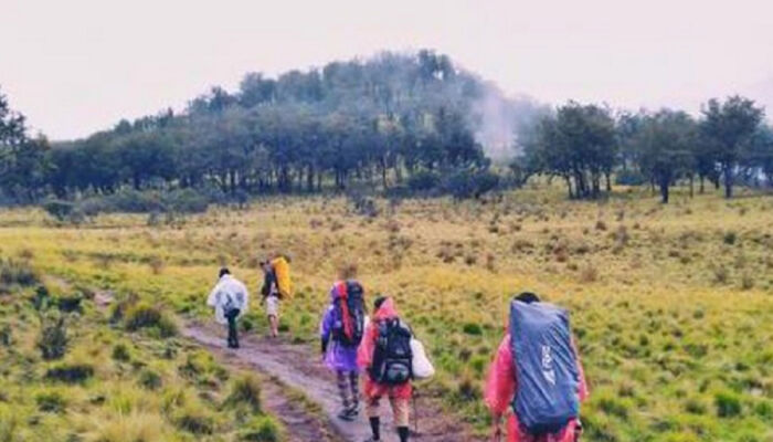 Sempat Mengeluh Sakit, Mahasiswi Asal Undip Ini Meninggal Saat Naik Gunung Lawu