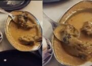 Viral! Temukan Tikus Mati di Dalam Makanan, Pihak Restoran Malah Bilang Begini ke Pengunjung