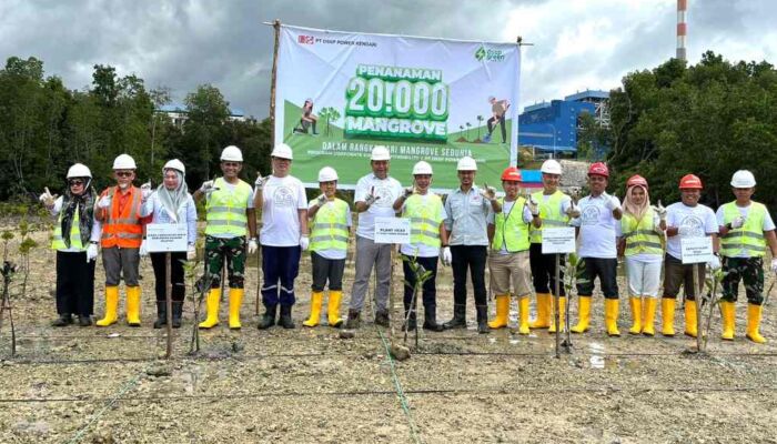 Peduli Lingkungan, PT DSSP Power Kendari Gelar Penanaman 20.000 Bibit Mangrove