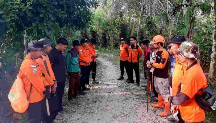 Seorang Warga Hilang Secara Misterius di Kebun Sagu Konawe Selatan