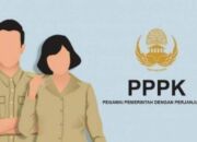 Resmi Diumumkan, Ini Rincian dan Kuota Penerimaan PPPK 2023 Wilayah Konawe