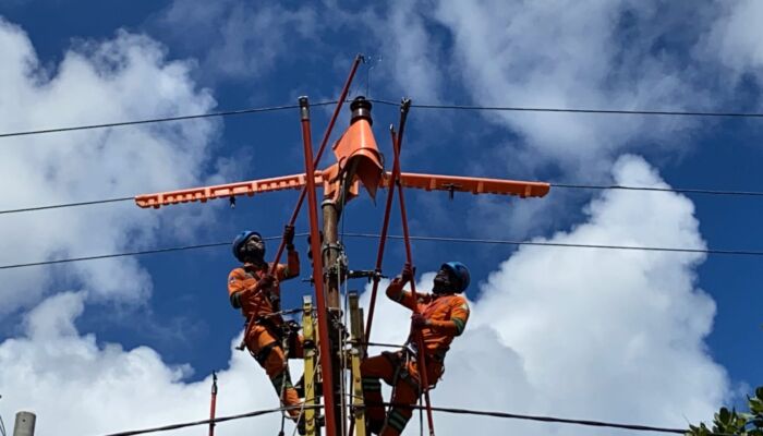 Penjelasan PT PLN Soal Insiden Petugasnya Tersengat Listrik di Kendari