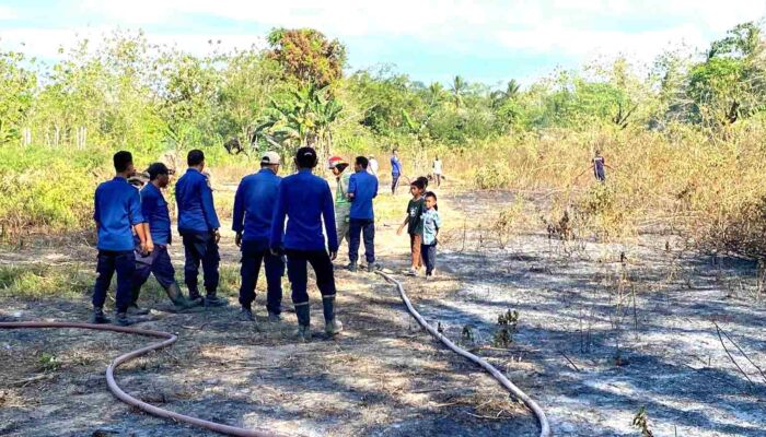 Nahas, Kakek 82 Tahun Tewas Terbakar di Lahan Kebunnya di Abeli Kota Kendari