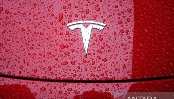 Tesla kolaborasi dengan JD.com perluas kehadiran daring di China