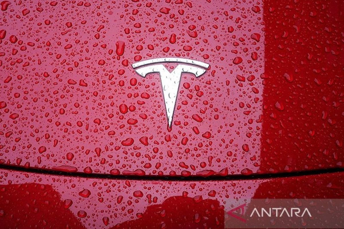 Tesla kolaborasi dengan JD.com perluas kehadiran daring di dalam China