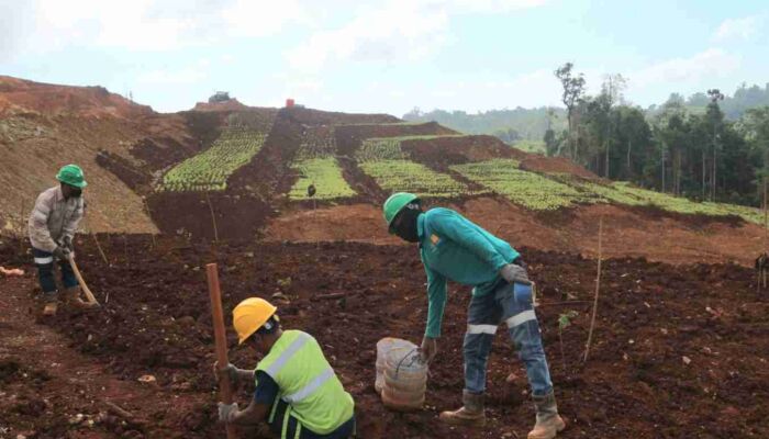 Meskipun Produksi Dihentikan, PT GKP Tunjukan Komitmennya  Lakukan Reklamasi Pasca Tambang