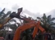 Viral! Duel Ekskavator di Riau Ini Bikin Heboh Warganet