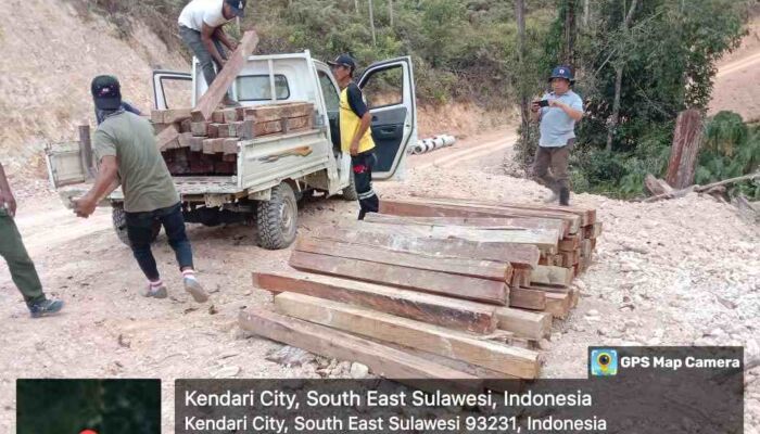 Gelar Sidak di Hutan Nanga-nanga, Dishut Sultra Temukan Puluhan Balok Kayu Tak Bertuan