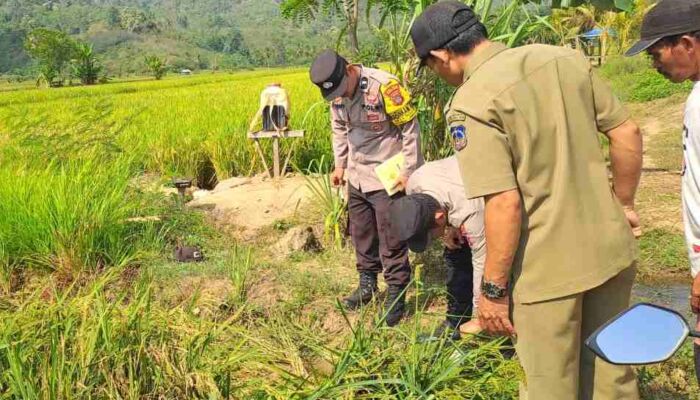 Petani di Koltim Kritis Dibacok Usai Berduel Gegara Rebutan Air Sawah