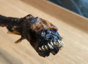 Menyeramkan! Camilan Belut di Jepang Ini Tampilannya Mirip Alien