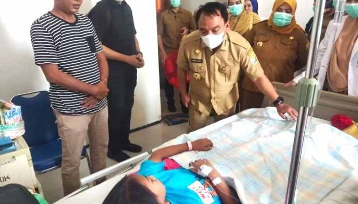 Kasus DBD di Sultra Melonjak Tembus Ratusan Penderita, Terbanyak di Kota Kendari