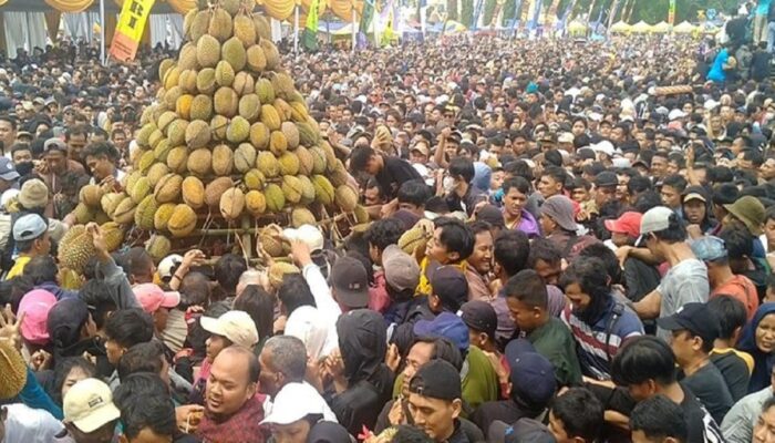 Festival Durian di Pekalongan Ricuh, Banyak Warga Terluka dan Pingsan