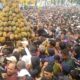 Festival Durian