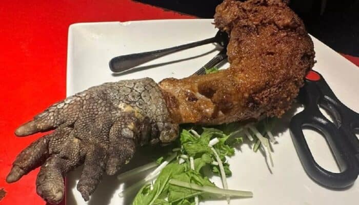 Ekstrem! Restoran Ini Jual Kuliner Kaki Buaya Hingga Ikan Piranha, Berani Coba?