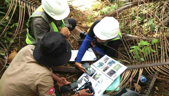 Biodiversitas Pulau Wawonii Terjaga, Sektor Swasta Ambil Peran Penting