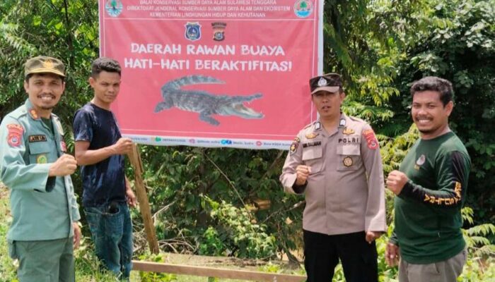 Cegah Teror Buaya, BKSDA Sultra Pasang 5  Titik Papan Peringatan di Muna Barat