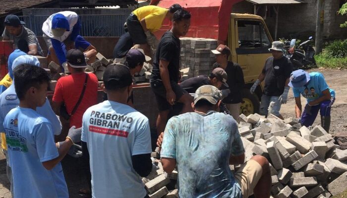 Viral! Kalah Suara, Caleg di Banyuwangi Tarik Kembali Bantuan Paving Block